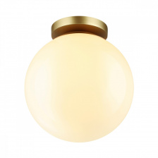 Потолочный светильник уличный Bosco 4248/1C