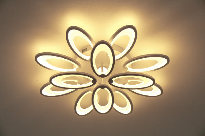 Потолочная люстра  10238/12LED фото 2
