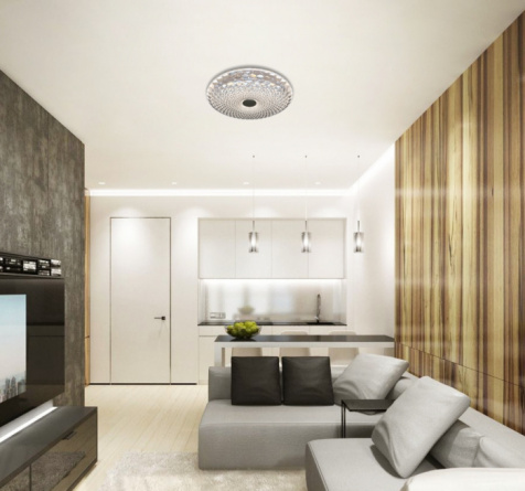 Потолочный светильник LED LAMPS LED LAMPS 81071 фото 2