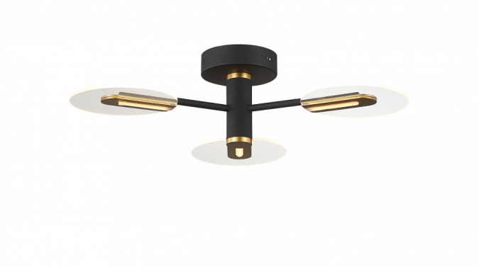 Потолочная люстра 1166 1166-LED21CL фото 1