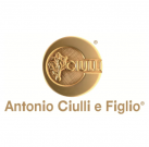 Antonio Ciulli